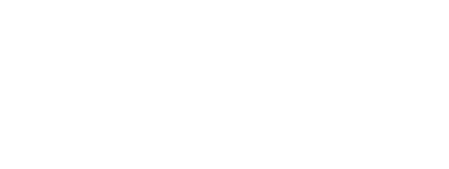 LaneCampos logo
